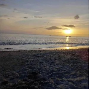 Maénorah 30s De La Belle Plage Carbetienne , Le Carbet Martinique